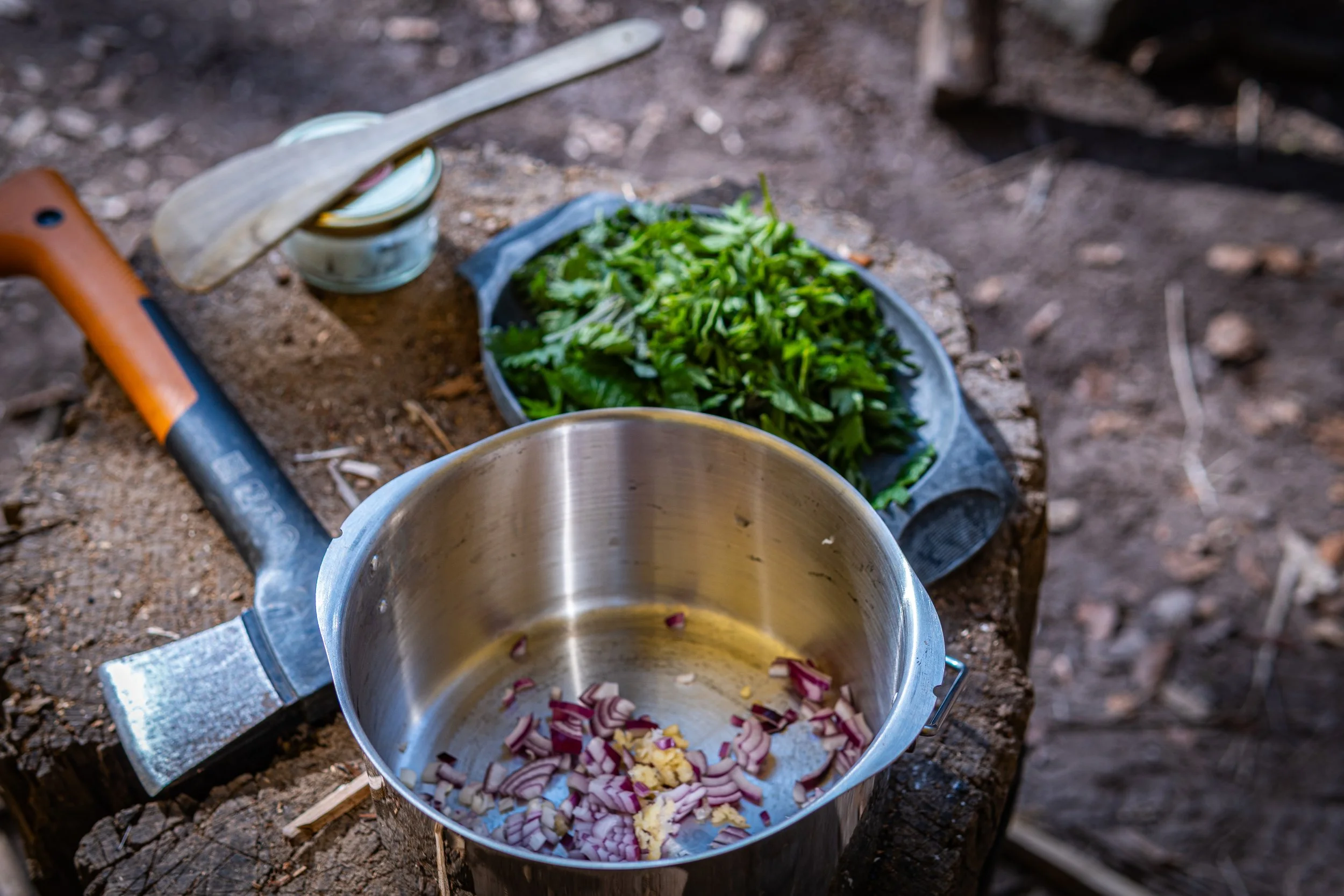 Dachsmeute - April  (13 von 14).jpg