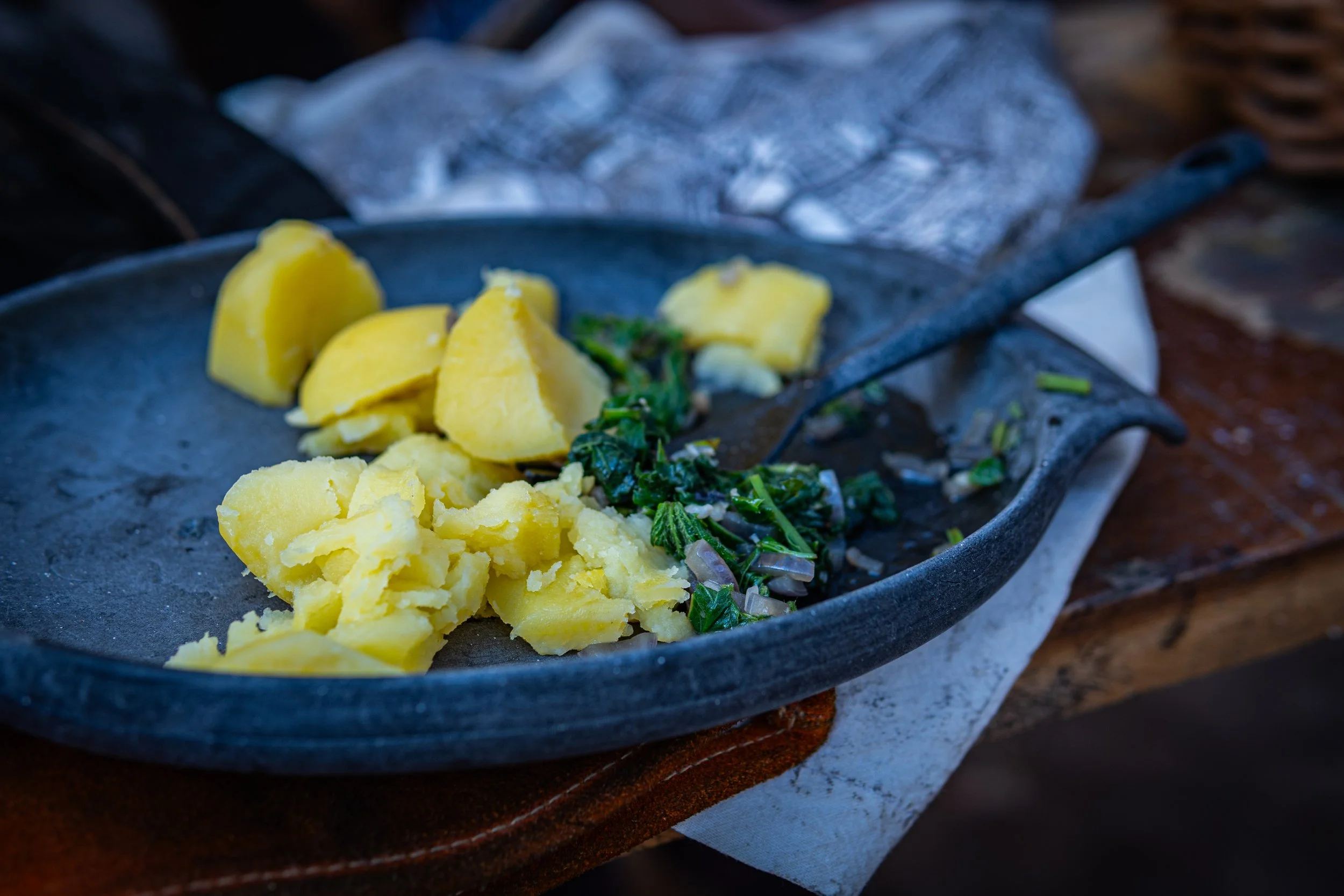 Dachsmeute - April  (14 von 14).jpg