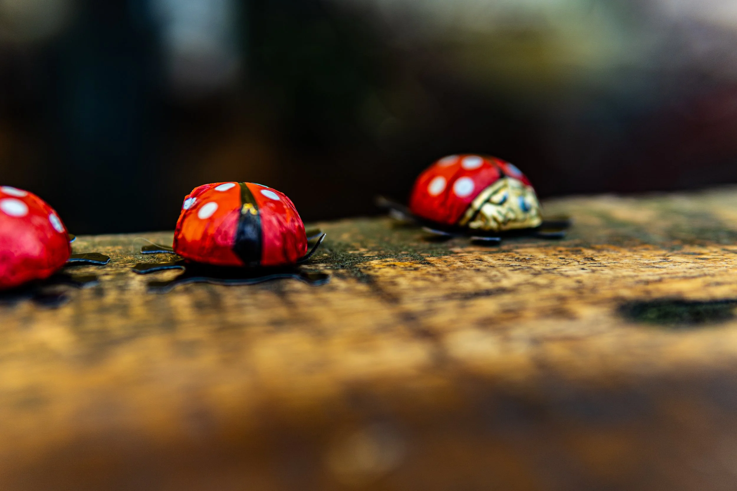 Funkenmeute - April  (1 von 29).jpg