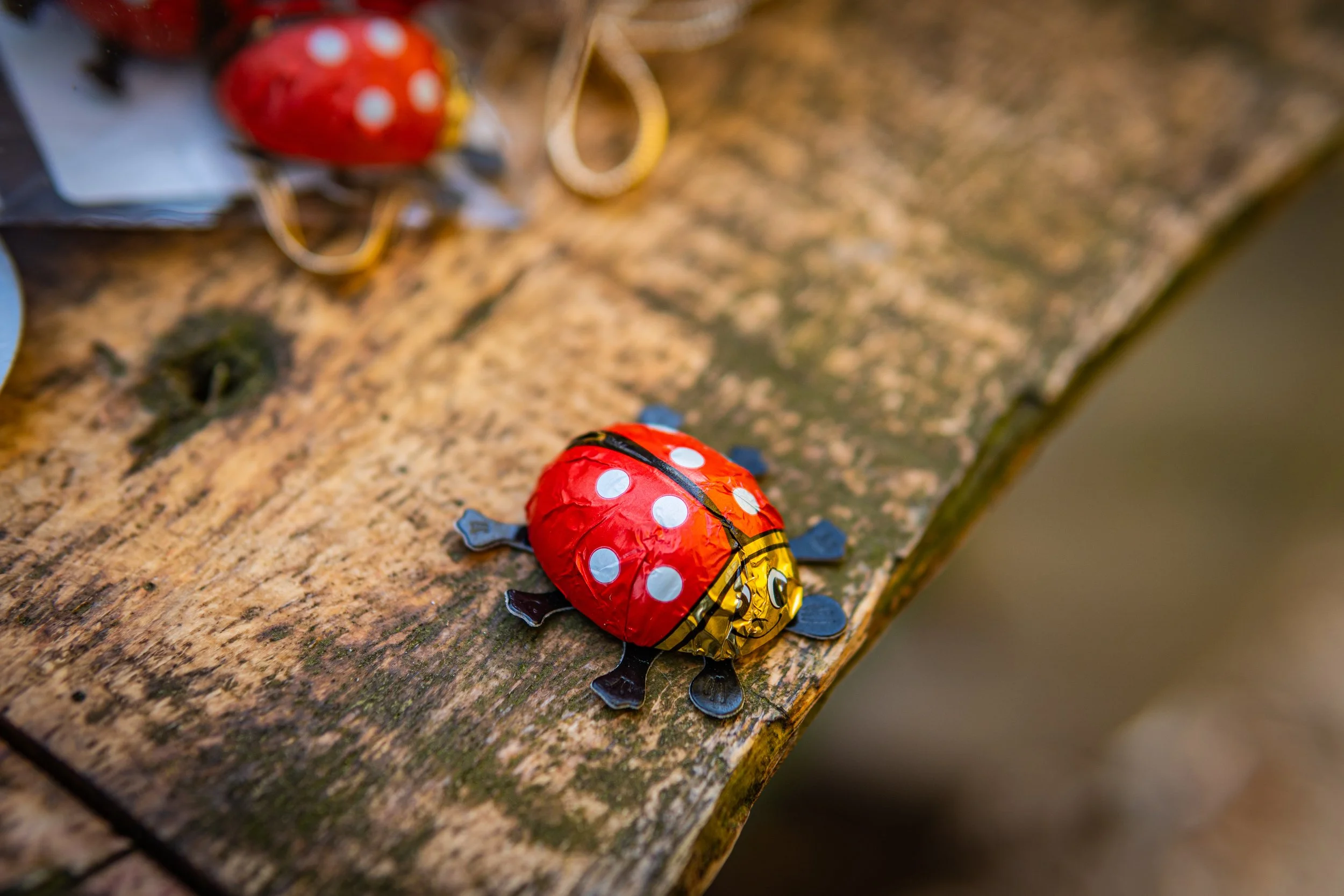 Funkenmeute - April  (10 von 29).jpg