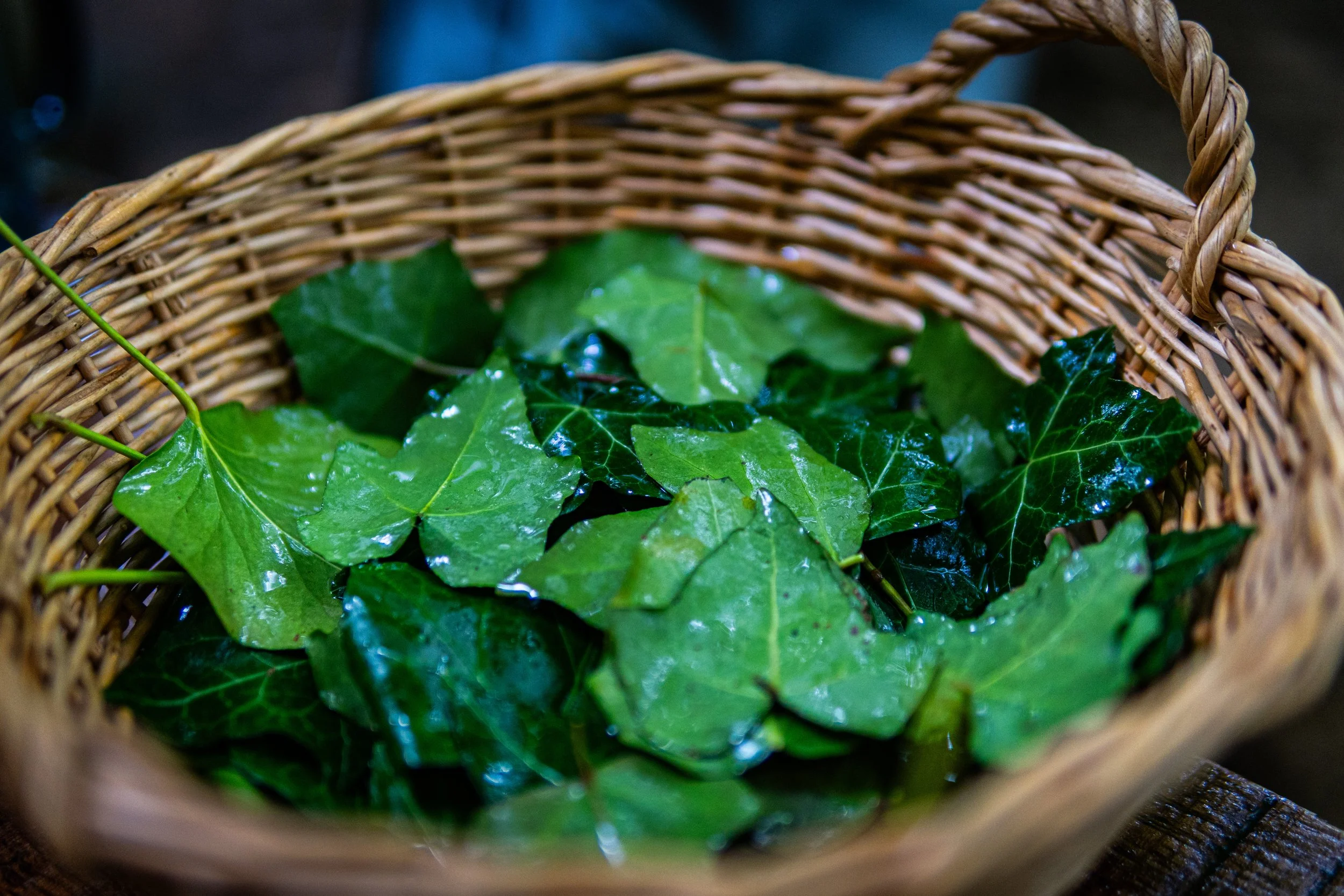 VHS Kurs Mai (23 von 24).jpg