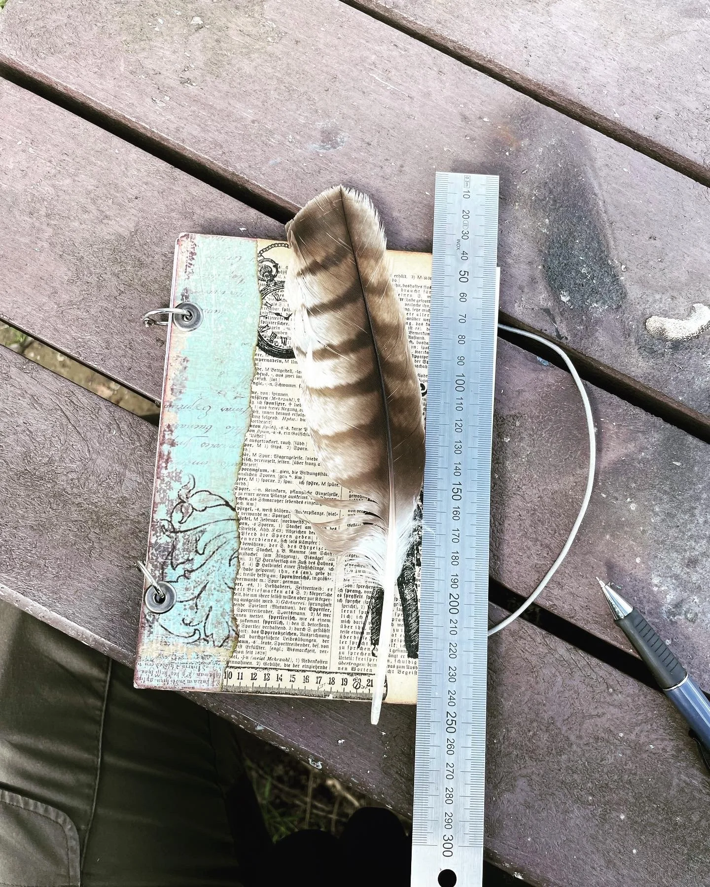 Tierspuren, Fährten und Zeichen durch Vögel und Säugetiere