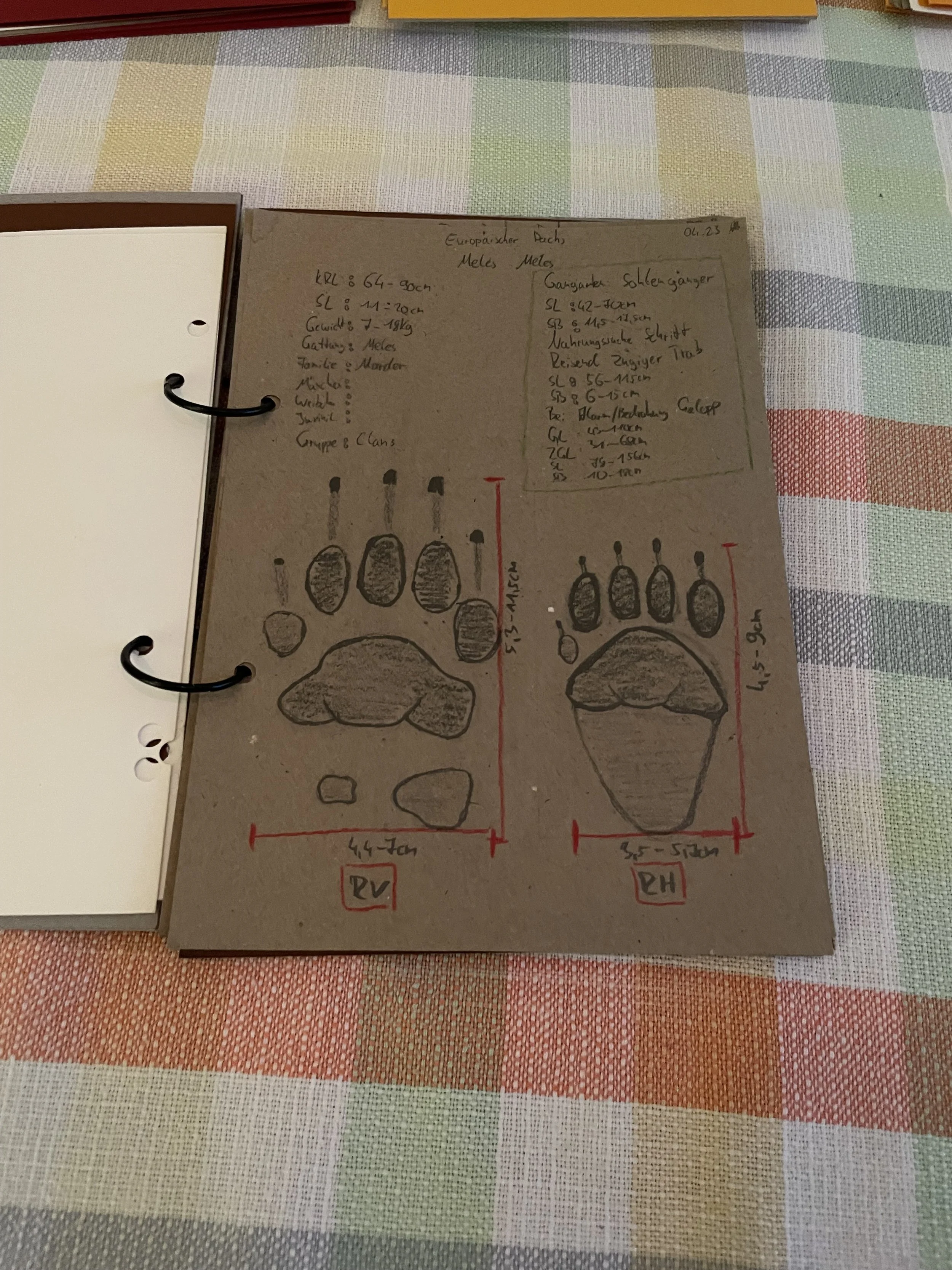 Tierspuren, Fährten und Zeichen durch Vögel und Säugetiere
