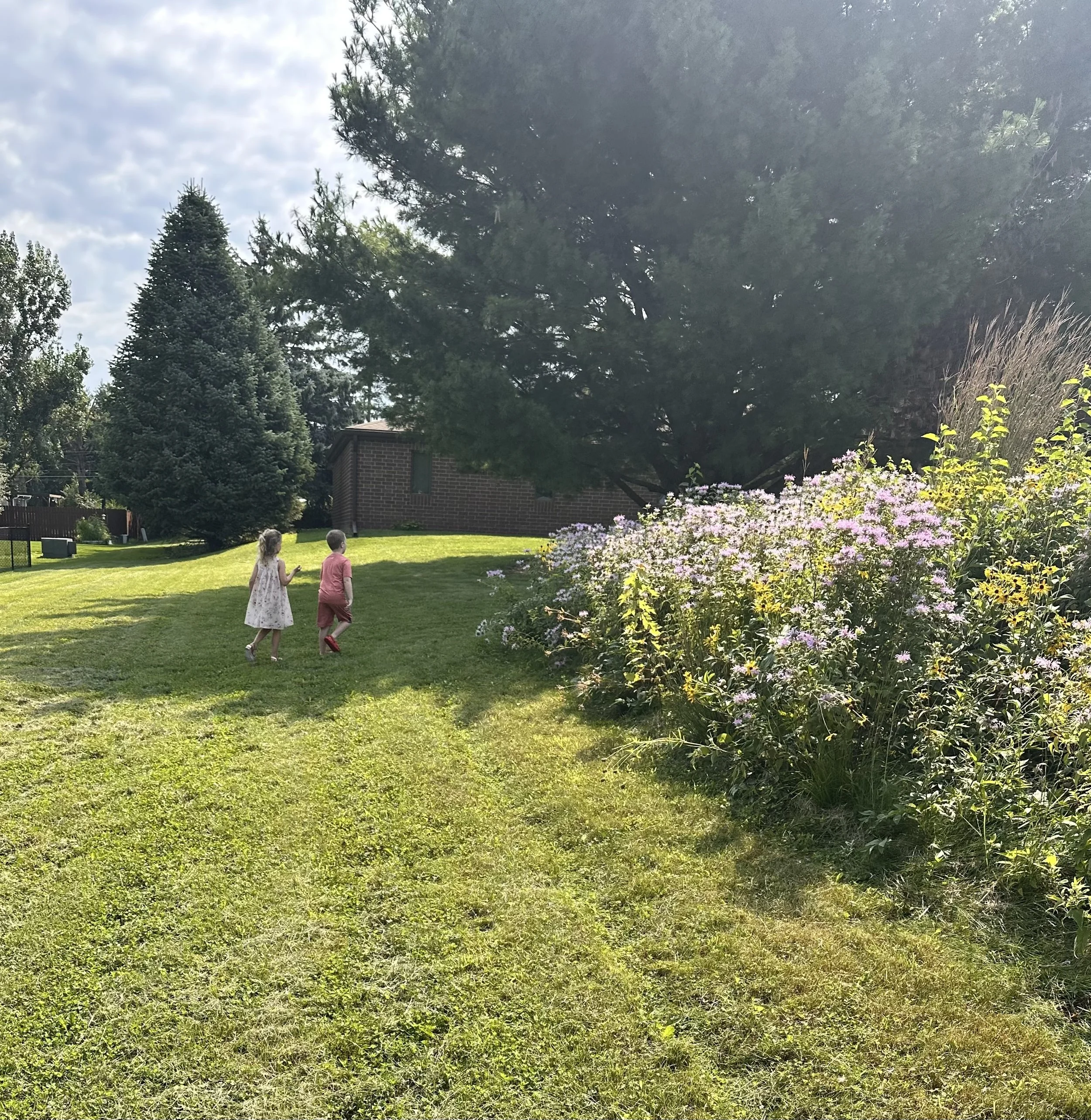IMG_4642.jpeg