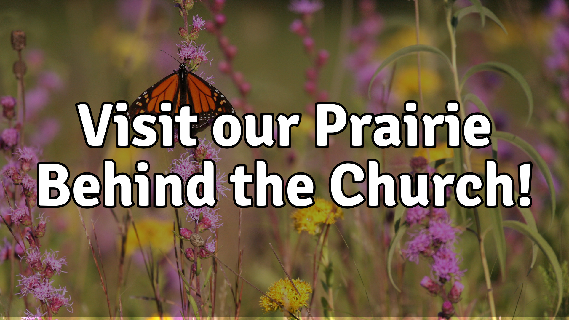 Prairie.png