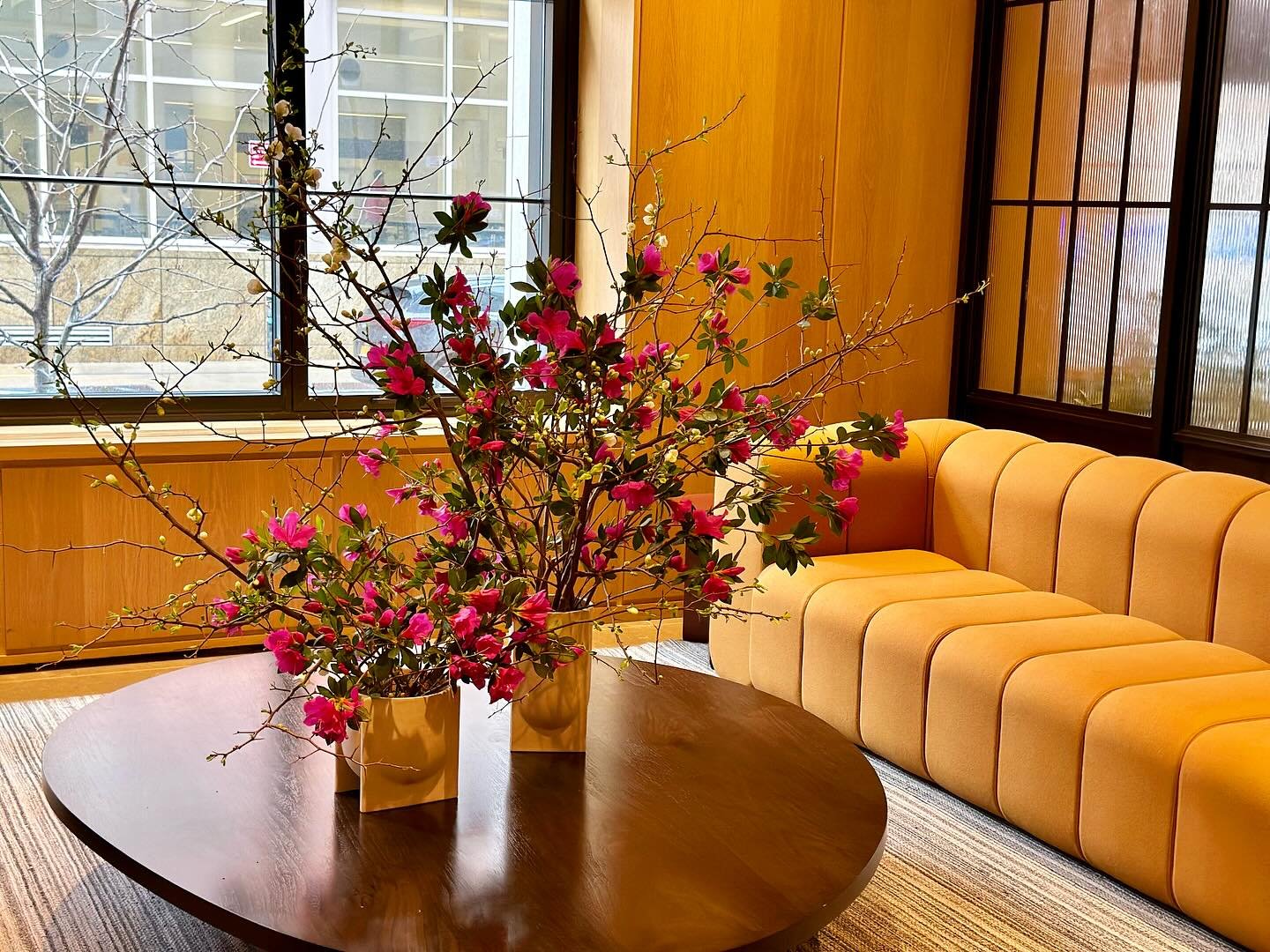 Welcoming you in&hellip; at a lobby near you ❤️ #AEDACCOUNTS