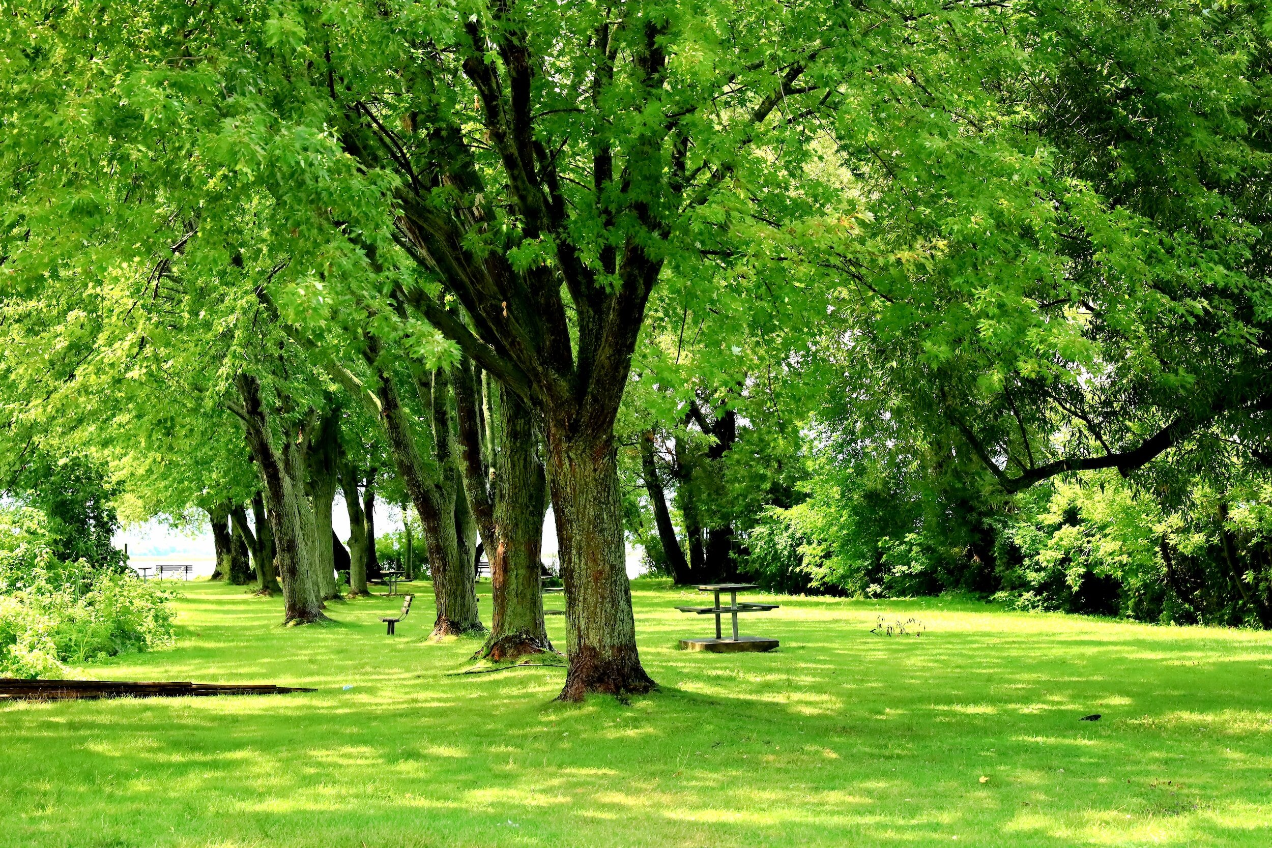 About — Fairfield Landscaping