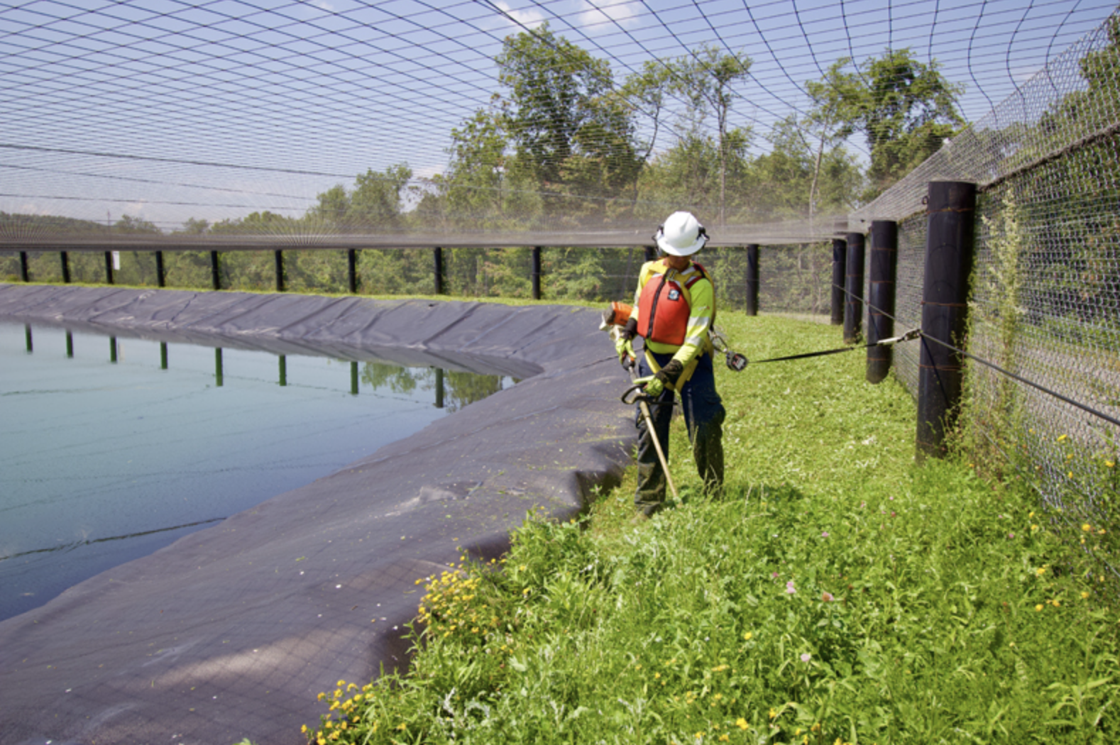 Screen Shot 2023-08-03 at 2.27.16 PM.png