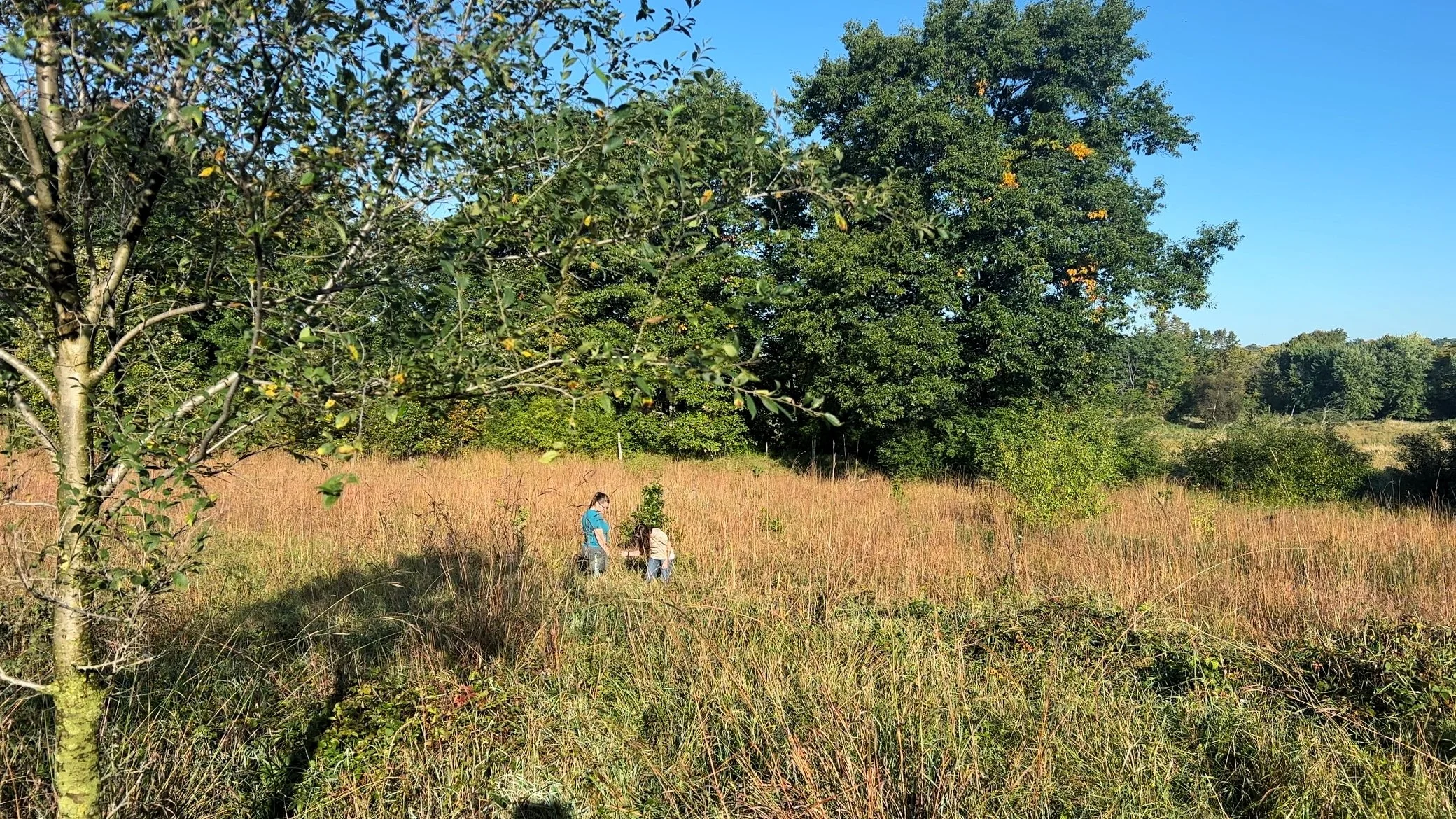 Mill Pond Recreation Area