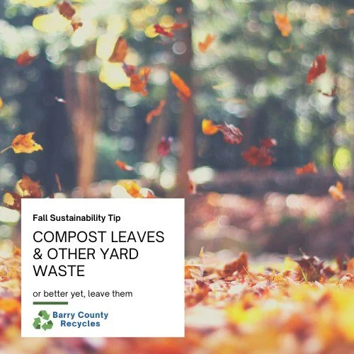 Fallen leaves are more than just an attractive part of the fall season here in Barry County, Michigan. They're also a super important part of the ecosystem! When you leave the leaves, you give pollinators and other wildlife creatures like salamanders