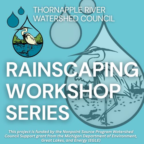 Rain Garden Workshop