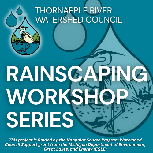Rain Garden Workshop
