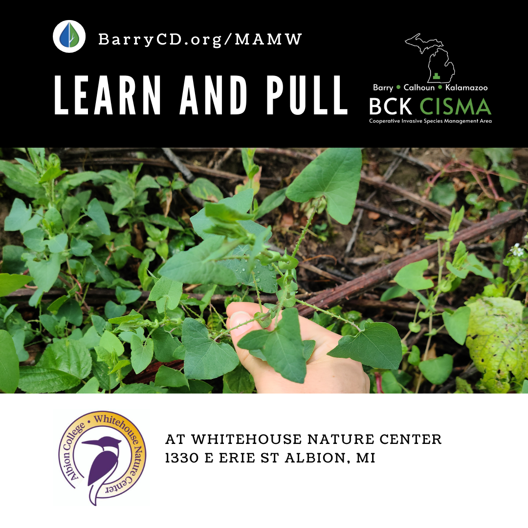 MAMW Learn and Pull