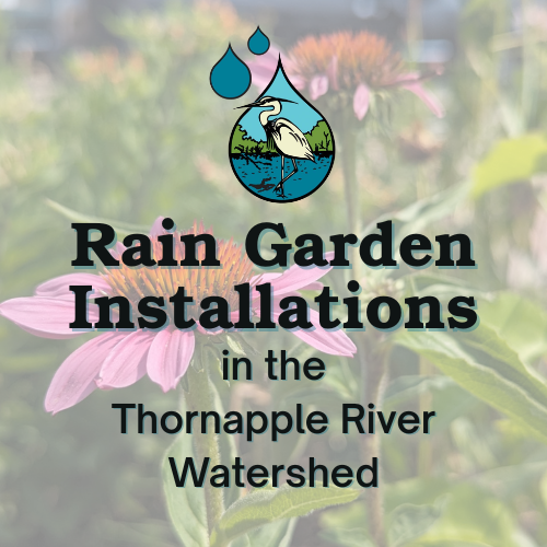 Rain Garden Installation