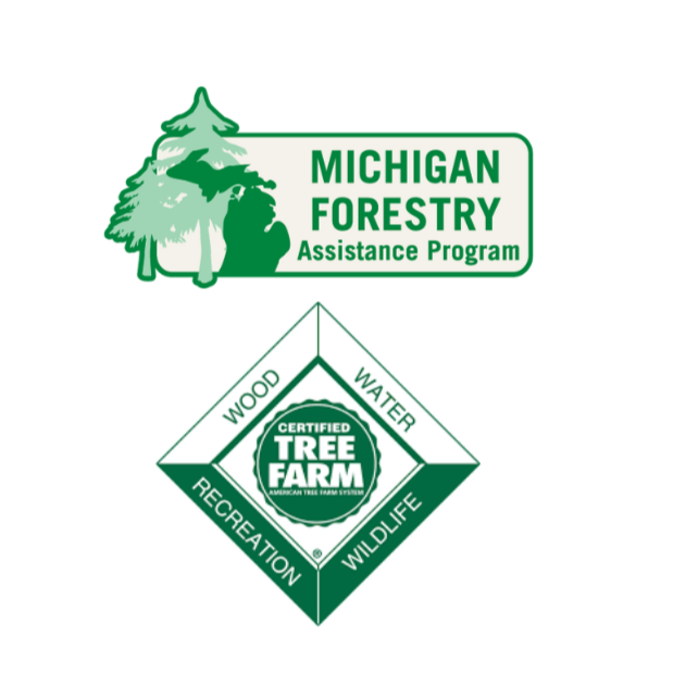 Learn Your Local Trees: Guided Walk &amp; Tree Identification