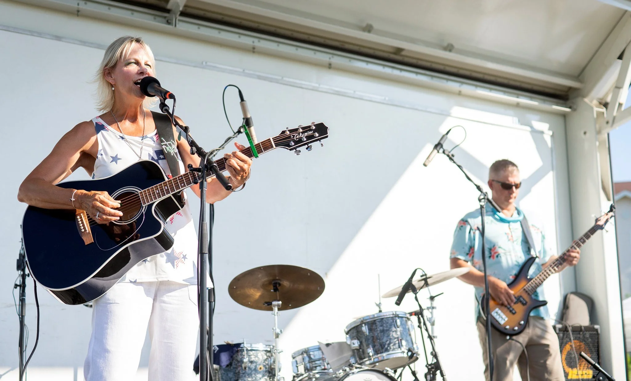 Entertainment — Rochesterfest