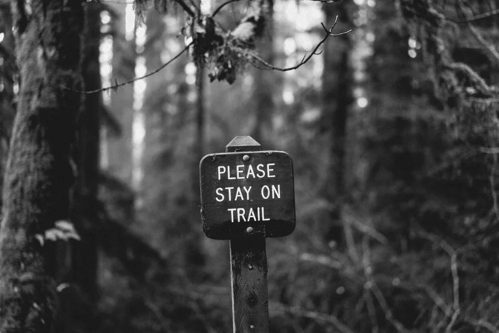 stay on trail.jpeg