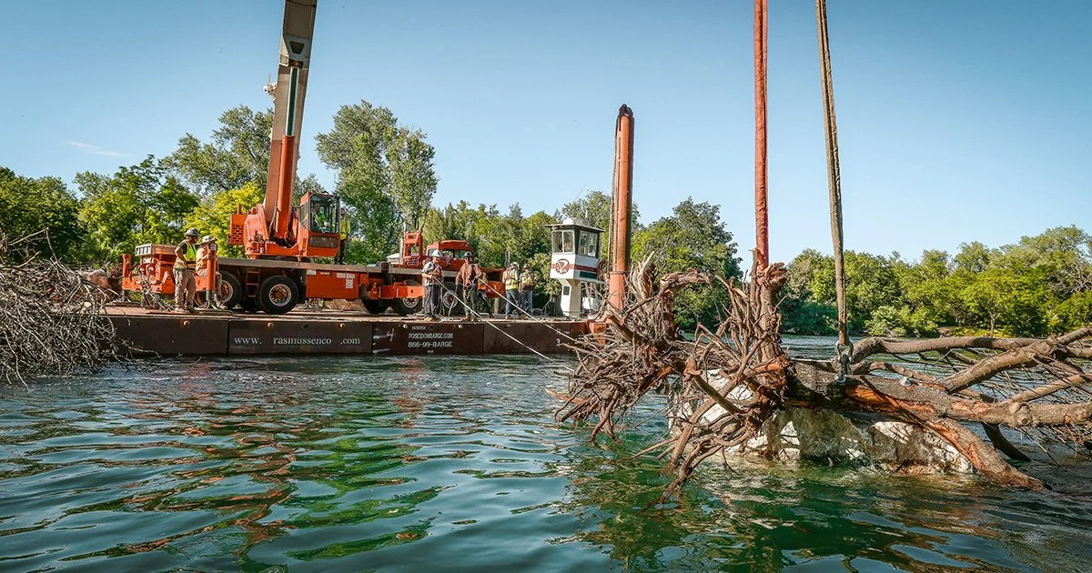 Sacramento River Settlement Contractors’ Habitat Project Reveals Juvenile Salmon Using Rockwads