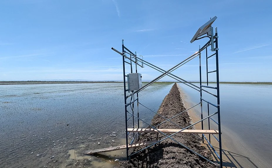 Water and Salinity Budget Analysis Project