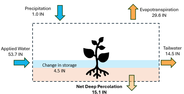 Figure 1. Field scale water budget diagram representing all inflows (applied water and precipitation), outflows (evapotranspiration, tailwater, and net deep percolation), and changes in water storage in rice fields