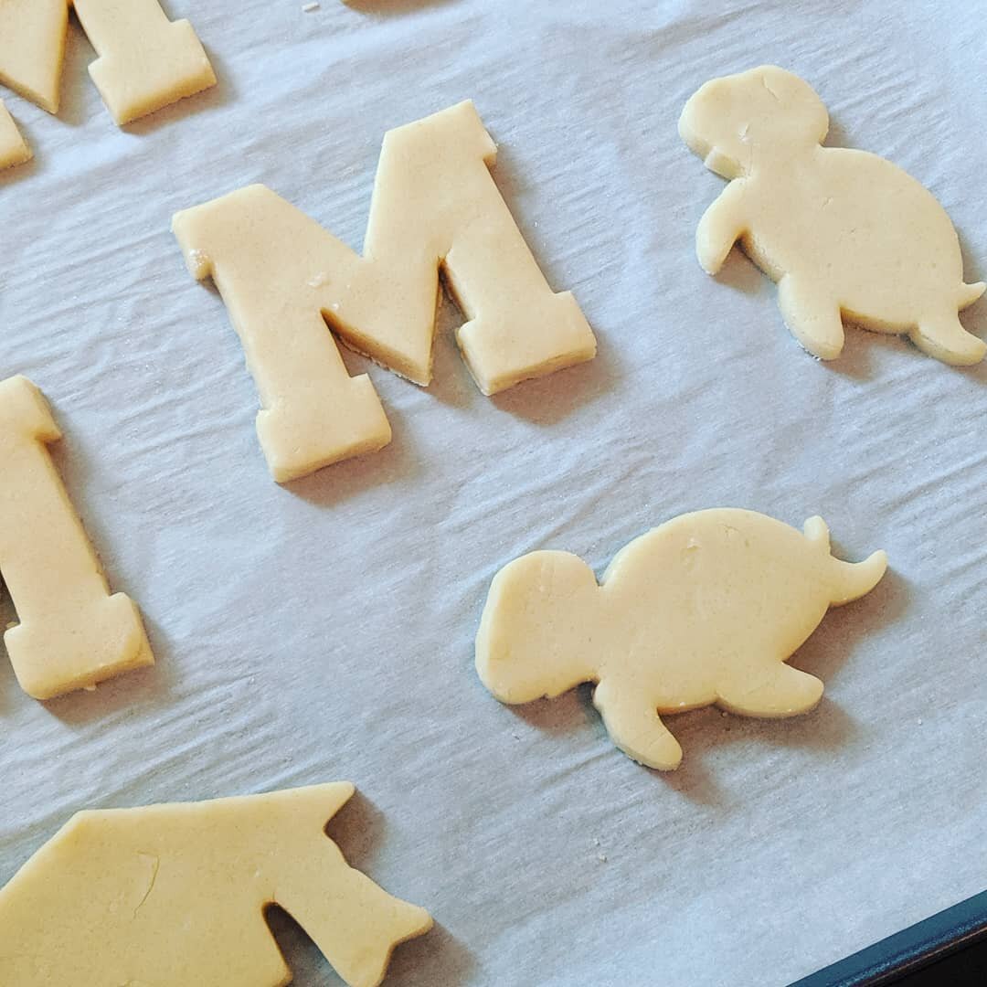 Grad school graduation coming up this week, so I'm making cookies for my classmates! 🐢 👩&zwj;🎓 #terps #umd #sugarcookiesofinstagram #cookiedecorating