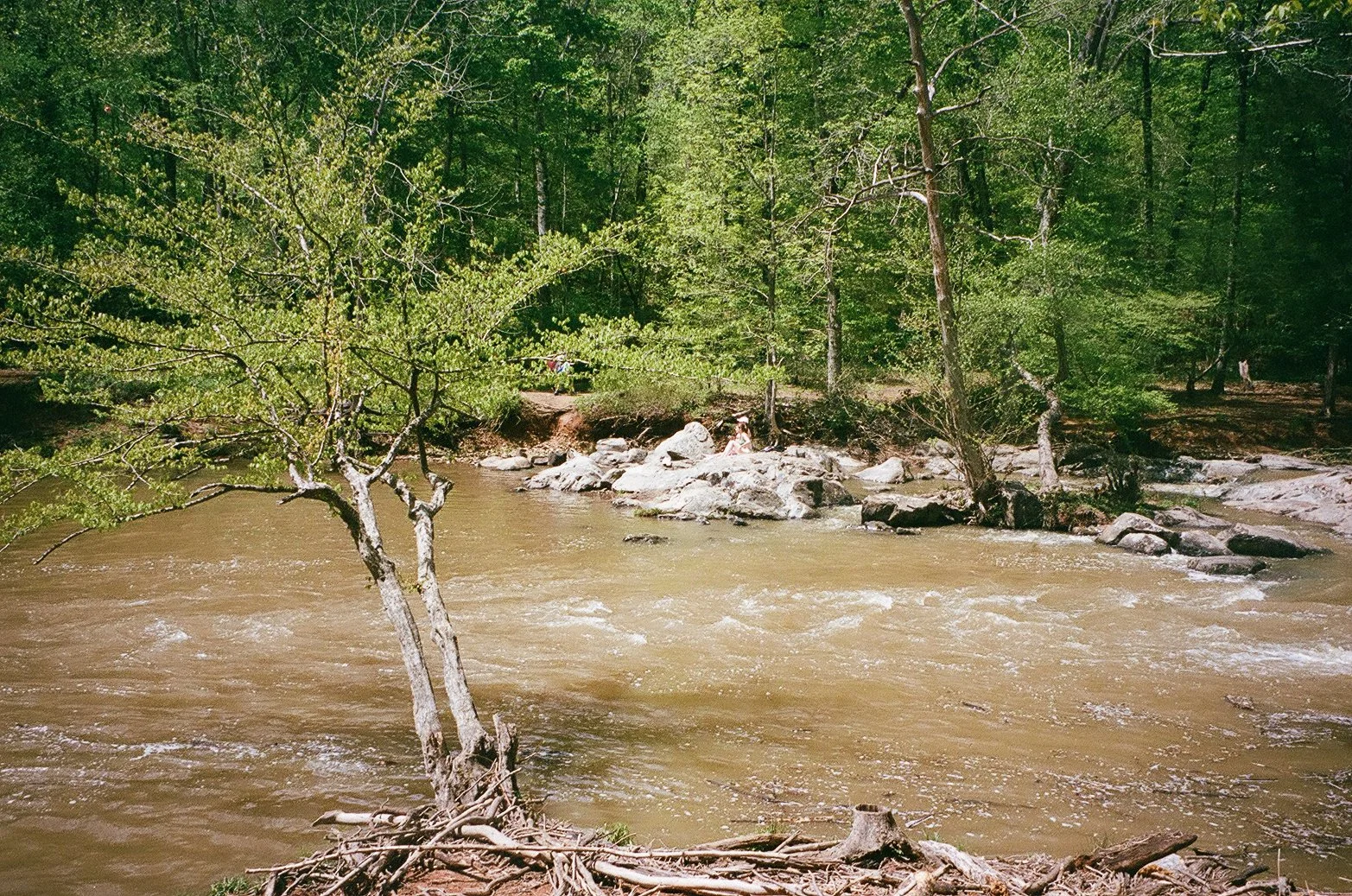 APRIL 2024 FILM-11.jpg