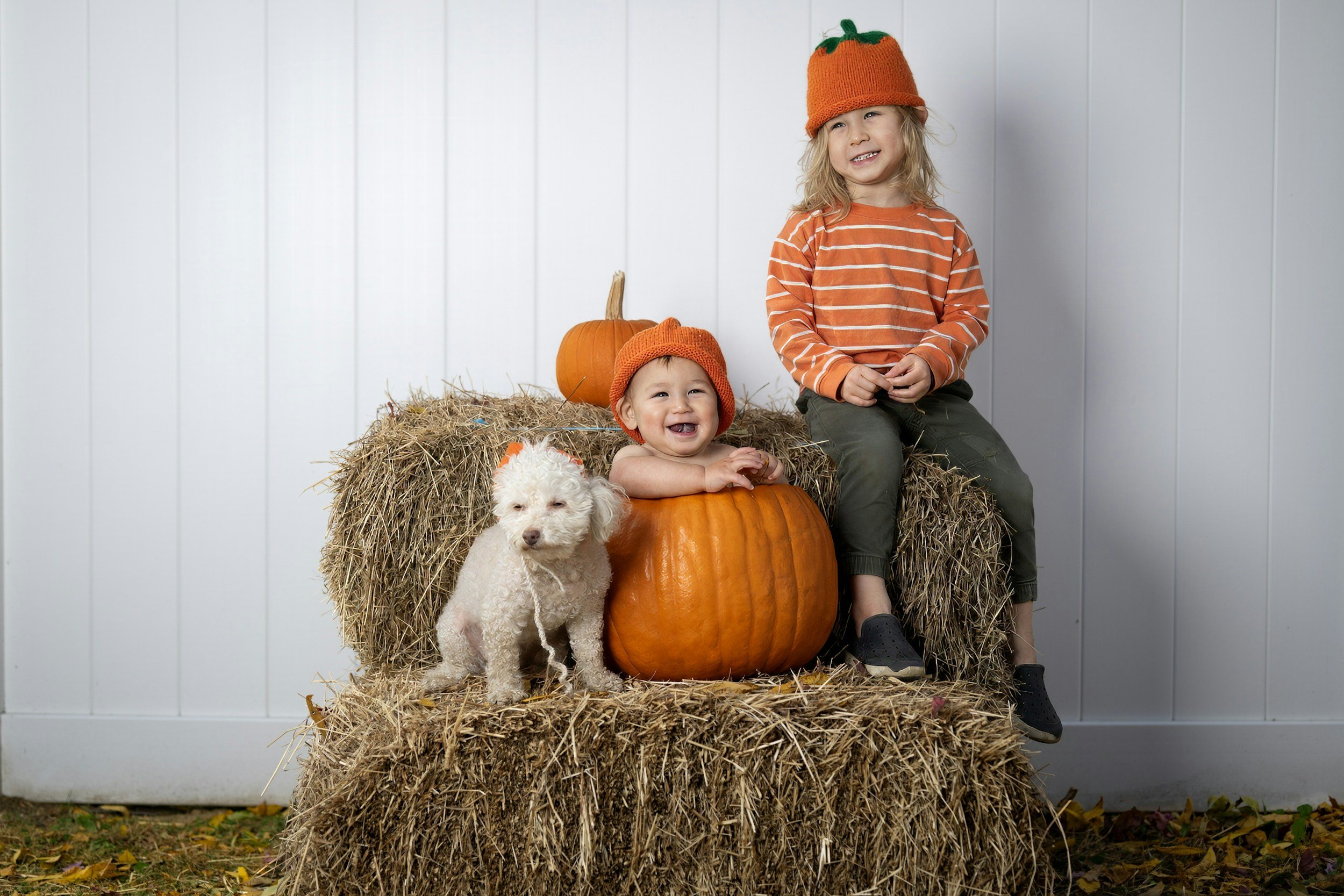 Fall Festival at Mulberry