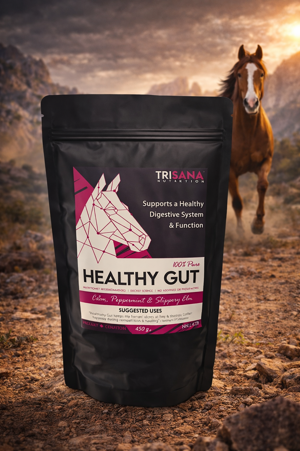 Trisana Nutrition - Healthy Gut (930g)