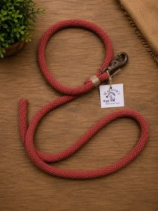 38.jpg