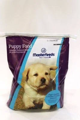 puppy.jpeg
