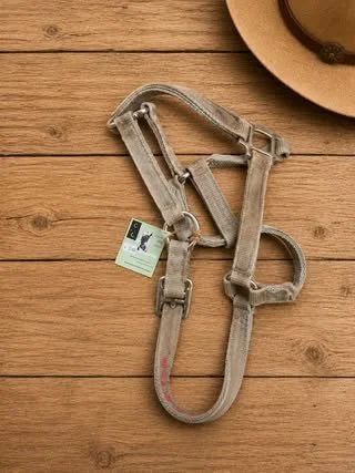 Consignment #201 - Grey Halter