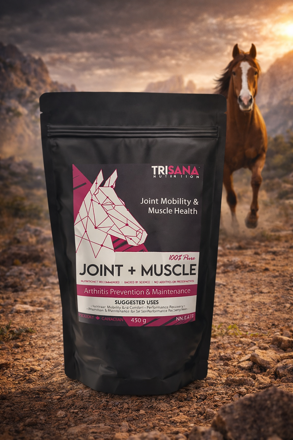 Trisana Nutrition - Joint and Muscle (450g)
