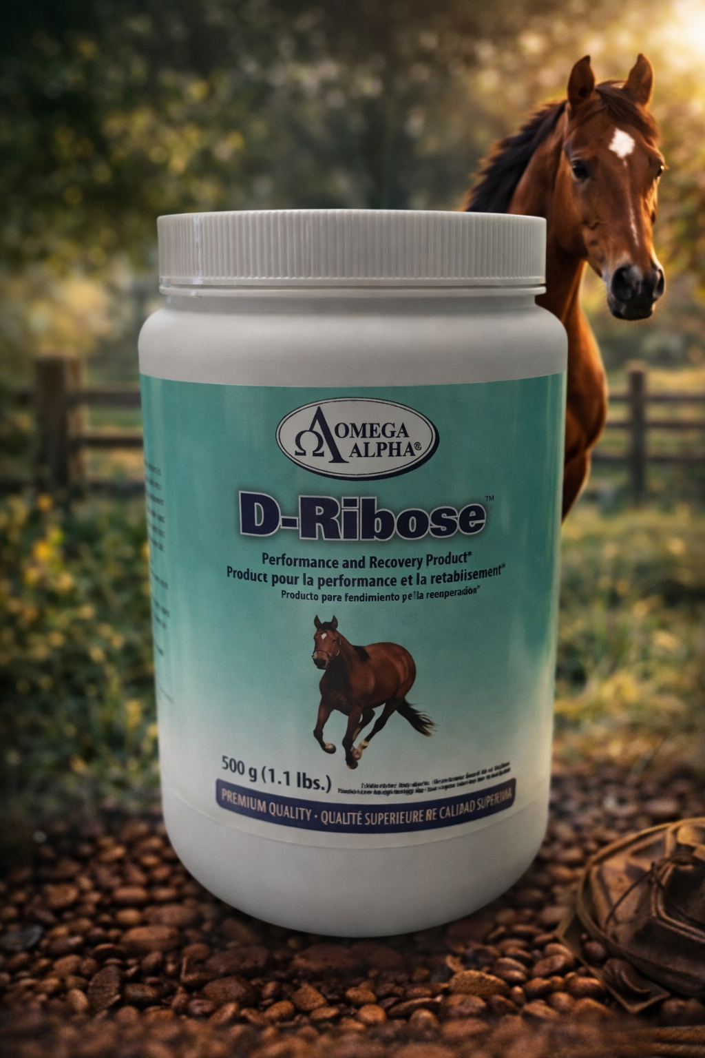 Omega Alpha - D-Ribose (500g)