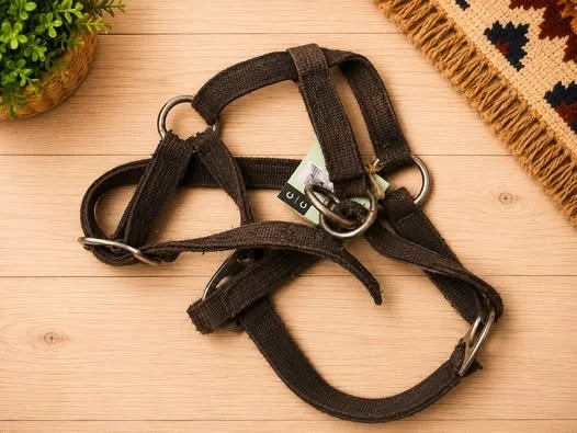 Consignment #415 - Brown Halter