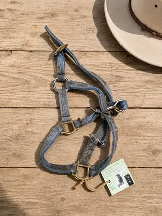 Consignment #188 - Blue Mini Halter