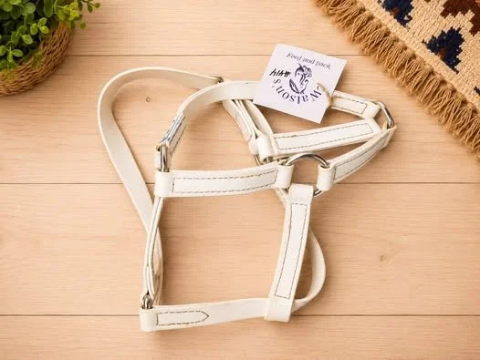 Consignment #414 - White Pony Halter