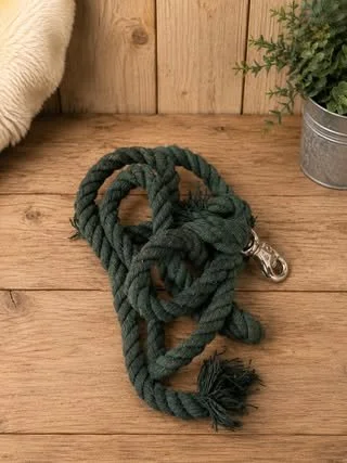 Consignment #520 - Green Lead Rope