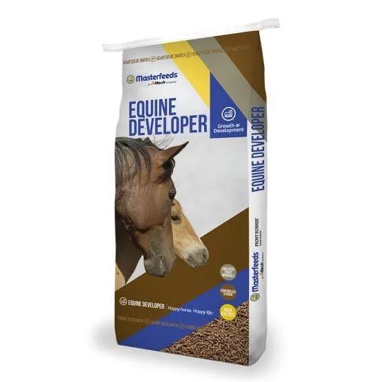 MF Equine Developer.jpeg