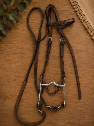 Consignment #71 - Headstall, Bit and Reins