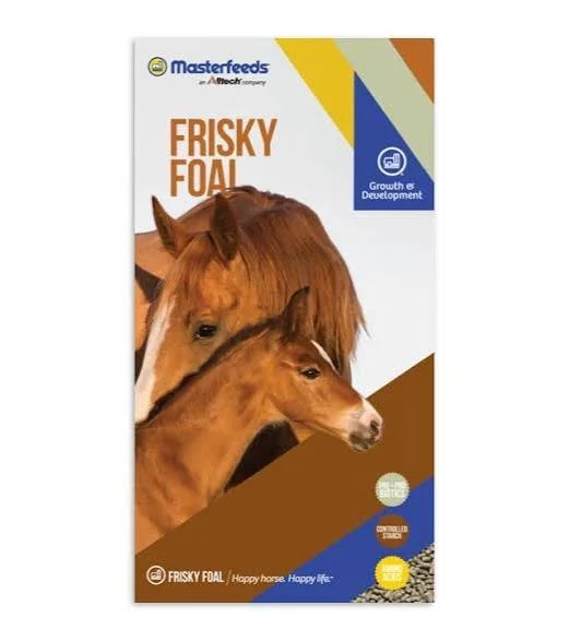 Masterfeeds Frisky Foal