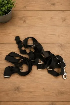 Consignment #537 - 3 blanket Straps