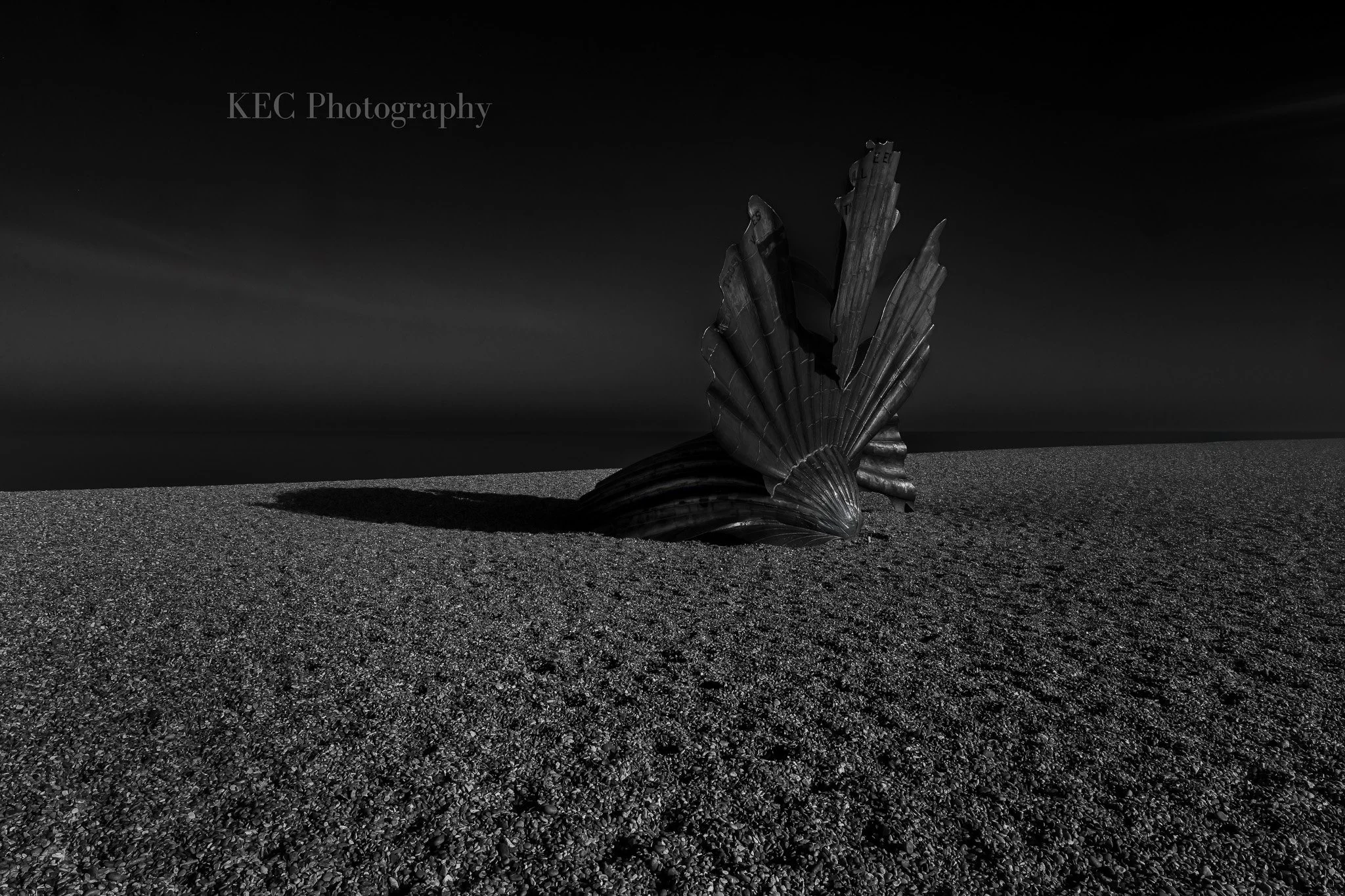 Shell on Aldborough Beach