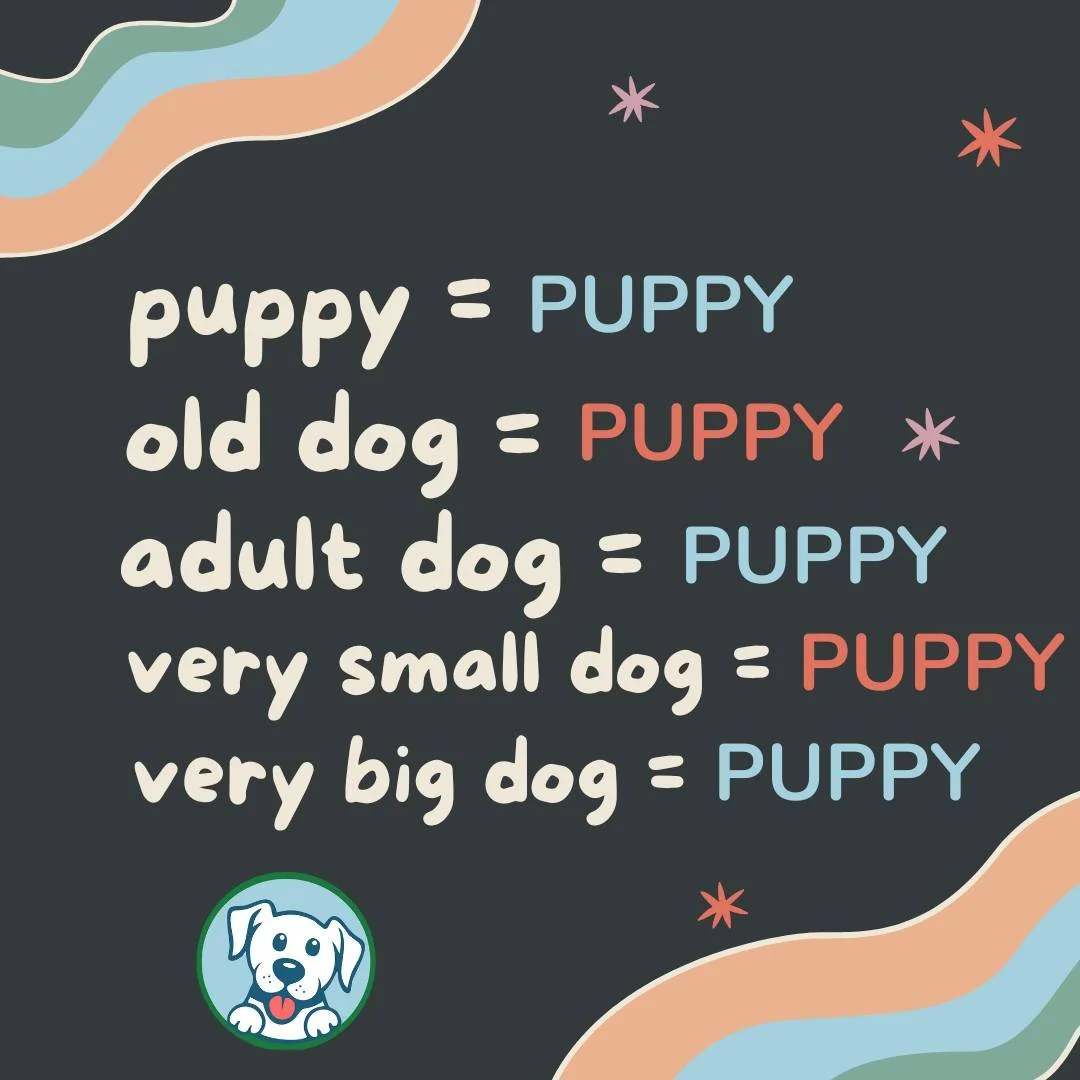 FURever &amp; always my puppy you'll be. 🐶🙃

 #hobokendogsofinstagram #hobokendoglovers #hobokendogmoms #hobokendoglife #hobokendogowners #hobokendogparks #hobokenwaterfront #hobokenlife #hobokenliving #hobokendogwalker #hobokendogs #hobokendog #ho