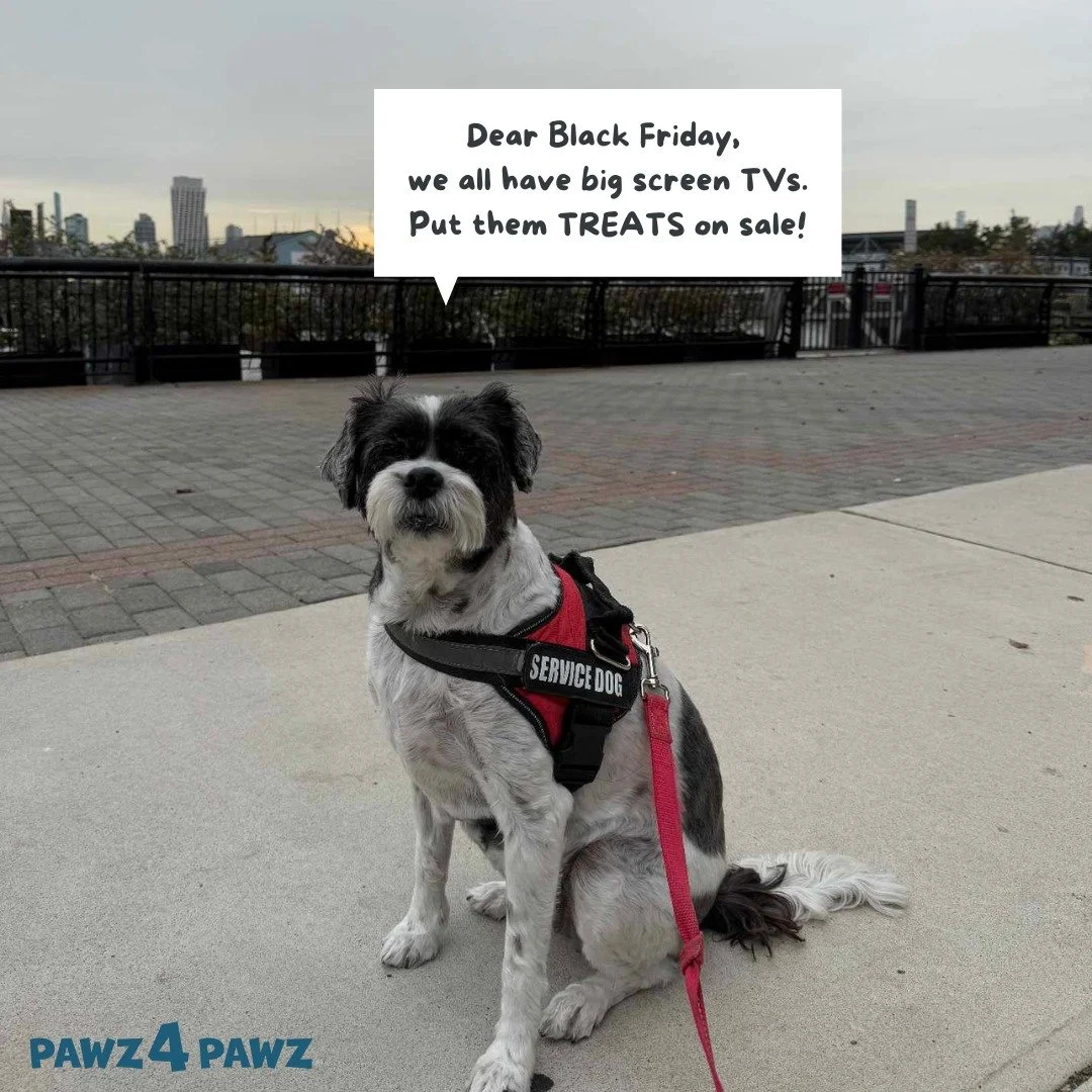 Dear Black Friday... Bella has something to say! 😅😎

#blackfridaypetdeals #blackfridaymemes #BlackFriday2024 #hobokendogsofinstagram #hobokendoglovers #hobokendogmoms #hobokendoglife #hobokendogowners #hobokendogparks #hobokenwaterfront #dogfacts #