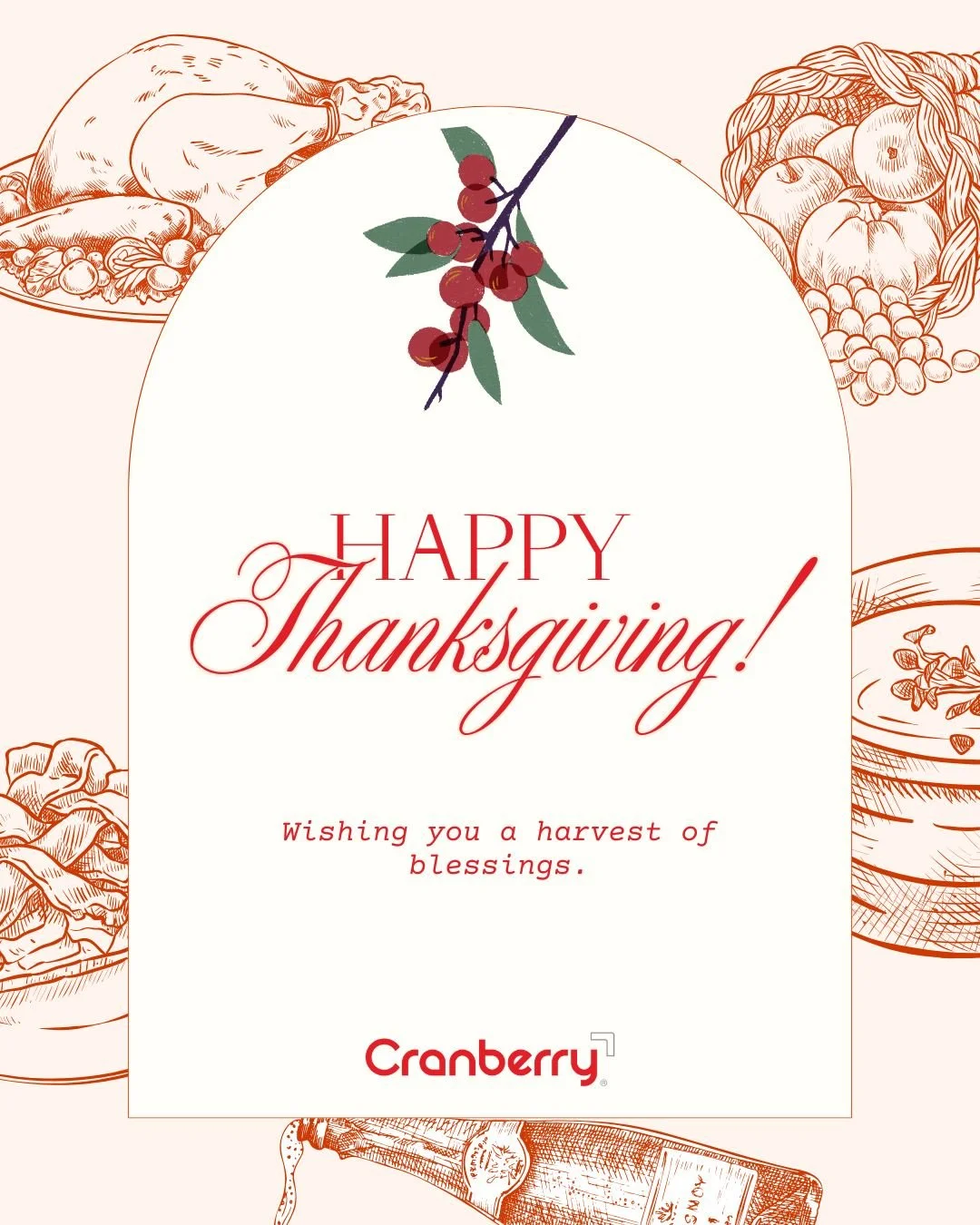This Thanksgiving, we&rsquo;re serving up safety with a side of cranberry cheer! 🦃🍒 

From gloves to gratitude, Cranberry is here to keep your holiday clean and bright!

#HappyThanksgiving #Cranberry