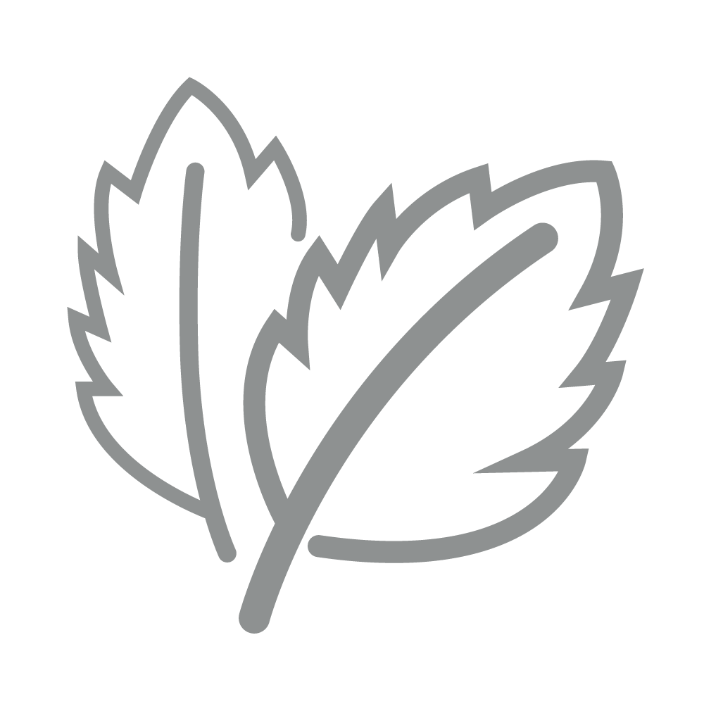 Icon of two leaves