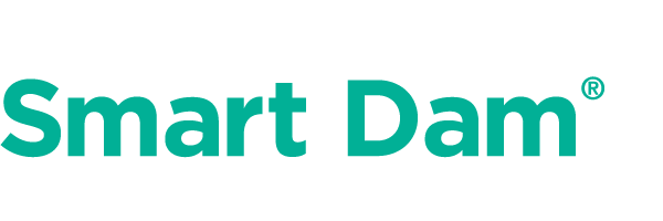 Smart Dam logo with teal text on transparent background
