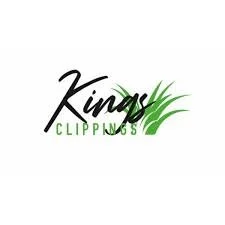 kings clippings.jpeg