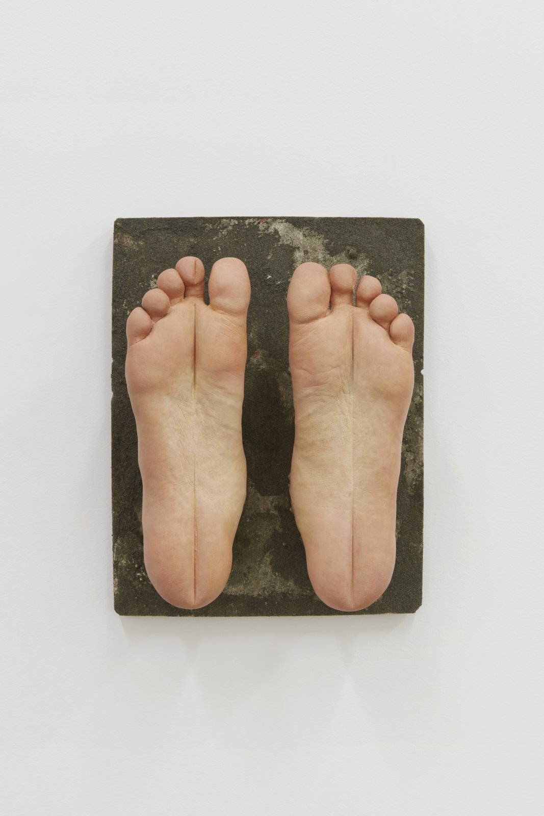   Feet,  2023, hydrocal, acrylic paint, 쑥가루, 9.75 x 12.375 x 4 in 