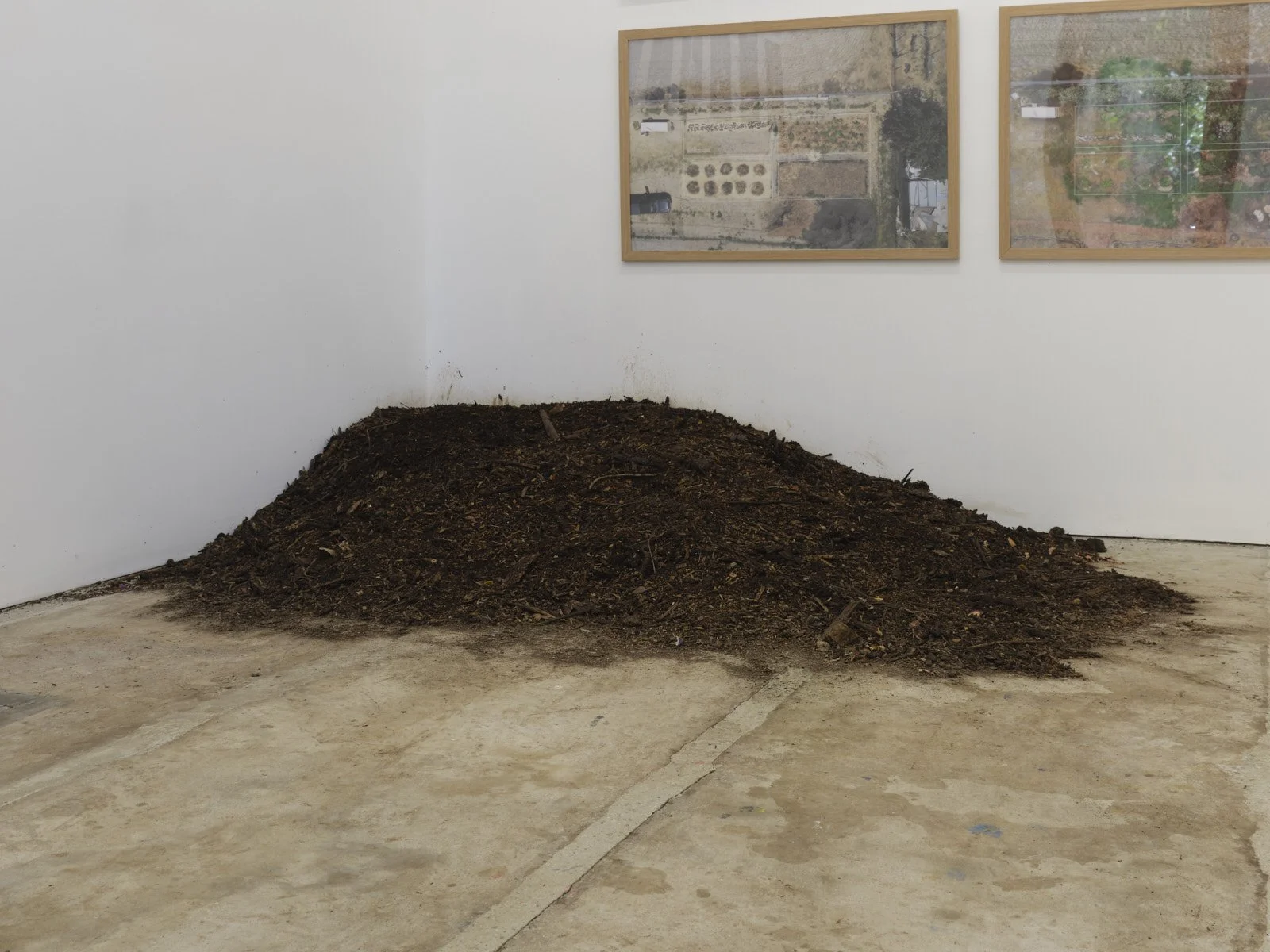 Cass Marketos - FREE COMPOST